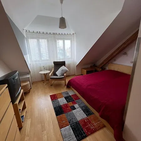 Guest house Viktoria *