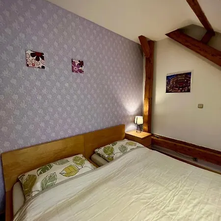 Guest house Viktoria