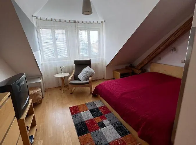 Gasthuis Viktoria 3*