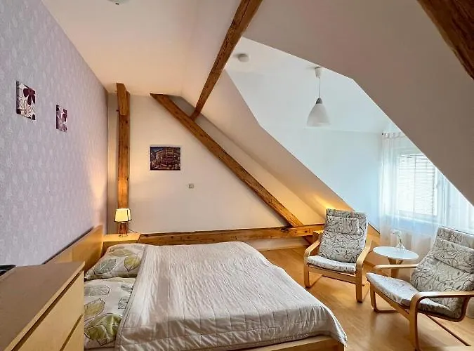 Viktoria Pensionat 3*